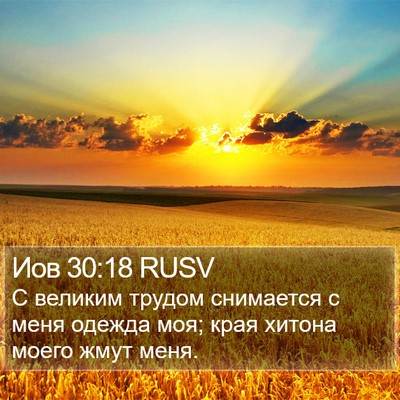 Иов 30:18 RUSV Bible Verse Image