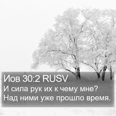 Иов 30:2 RUSV Bible Verse Image