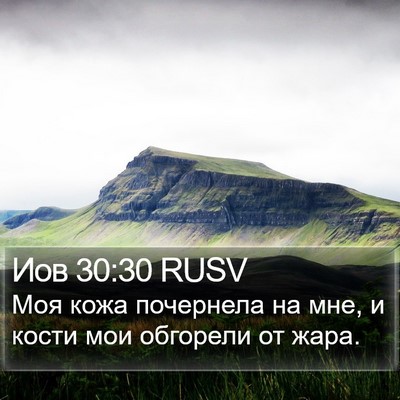 Иов 30:30 RUSV Bible Verse Image