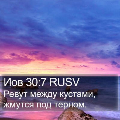 Иов 30:7 RUSV Bible Verse Image