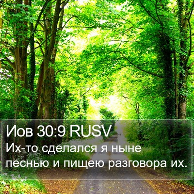 Иов 30:9 RUSV Bible Verse Image