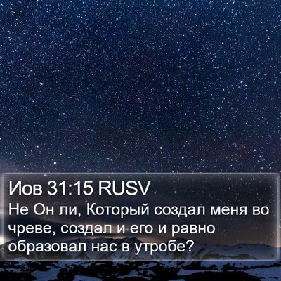 Иов 31:15 RUSV Bible Verse Image