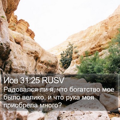 Иов 31:25 RUSV Bible Verse Image