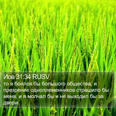 Иов 31:34 RUSV Bible Verse Image