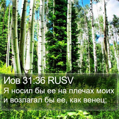 Иов 31:36 RUSV Bible Verse Image