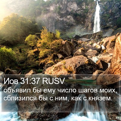 Иов 31:37 RUSV Bible Verse Image