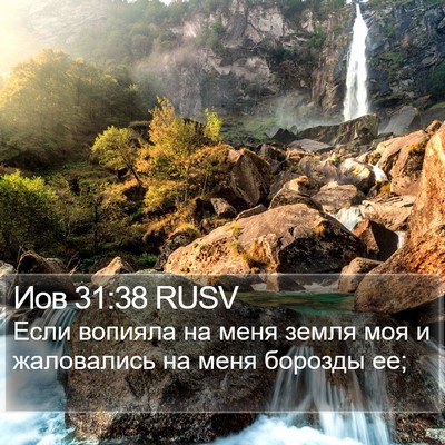 Иов 31:38 RUSV Bible Verse Image