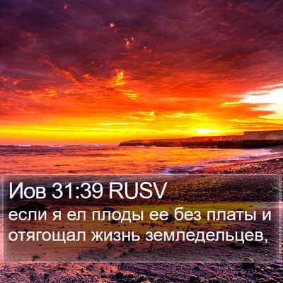 Иов 31:39 RUSV Bible Verse Image
