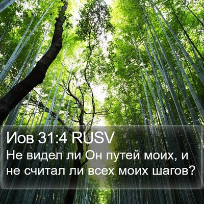 Иов 31:4 RUSV Bible Verse Image
