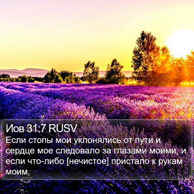 Иов 31:7 RUSV Bible Verse Image