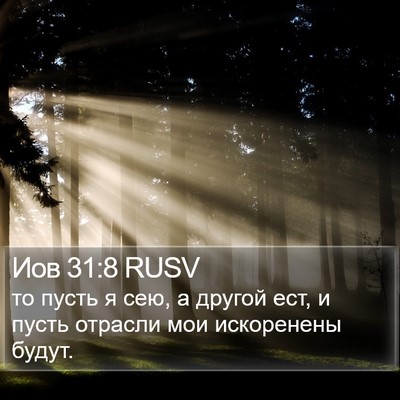 Иов 31:8 RUSV Bible Verse Image