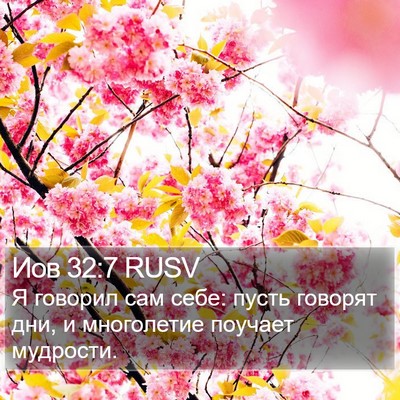 Иов 32:7 RUSV Bible Verse Image
