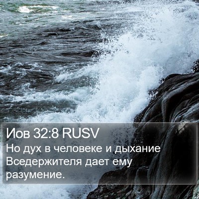 Иов 32:8 RUSV Bible Verse Image