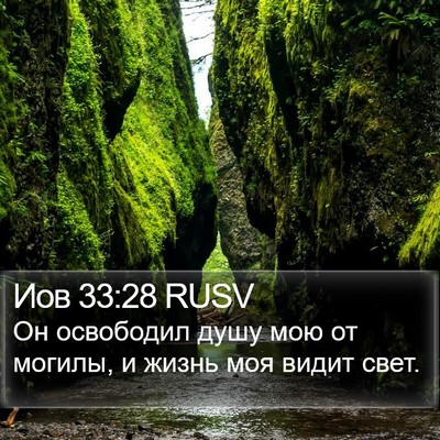 Иов 33:28 RUSV Bible Verse Image