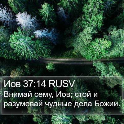 Иов 37:14 RUSV Bible Verse Image