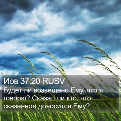 Иов 37:20 RUSV Bible Verse Image
