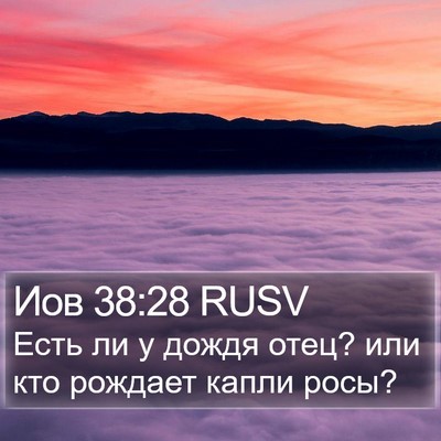 Иов 38:28 RUSV Bible Verse Image