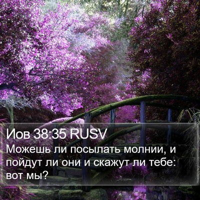 Иов 38:35 RUSV Bible Verse Image