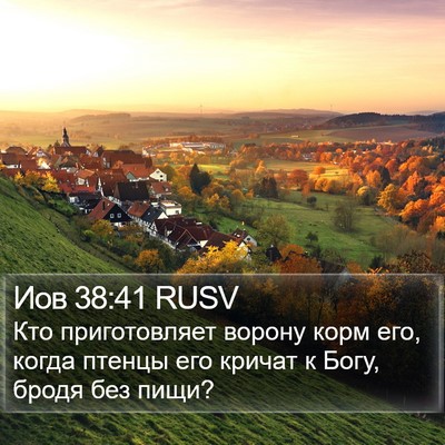 Иов 38:41 RUSV Bible Verse Image