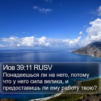 Иов 39:11 RUSV Bible Verse Image