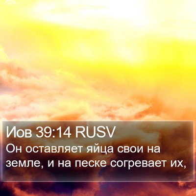 Иов 39:14 RUSV Bible Verse Image