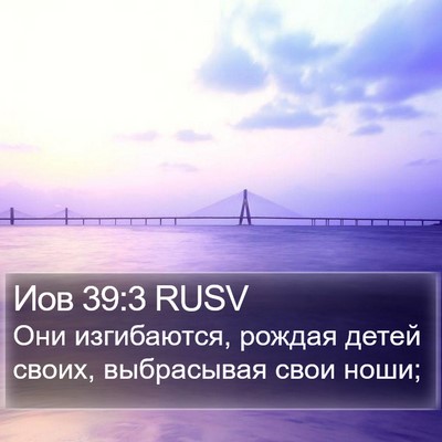 Иов 39:3 RUSV Bible Verse Image