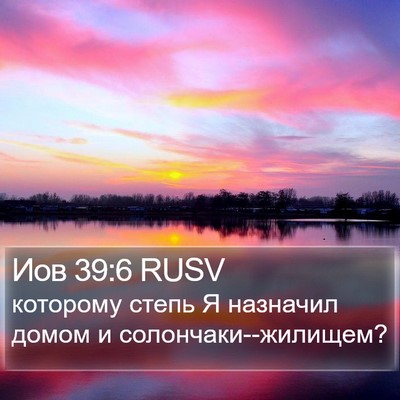 Иов 39:6 RUSV Bible Verse Image