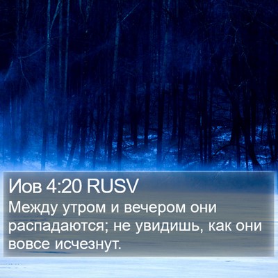 Иов 4:20 RUSV Bible Verse Image