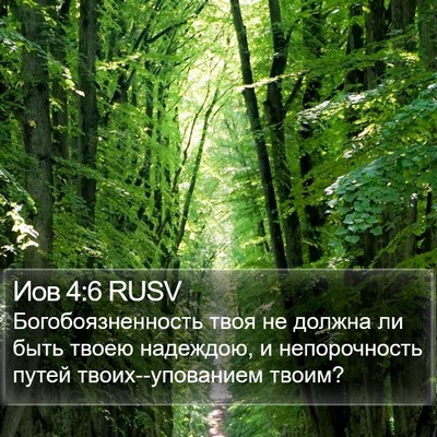 Иов 4:6 RUSV Bible Verse Image