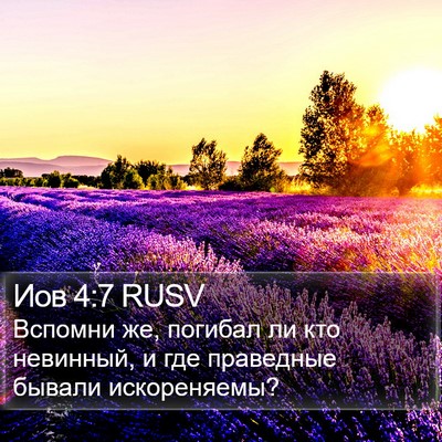 Иов 4:7 RUSV Bible Verse Image