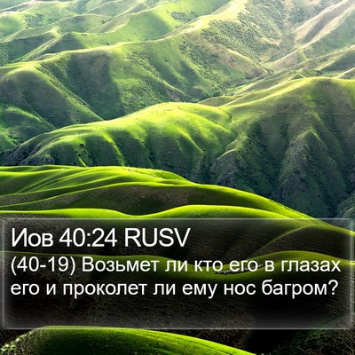Иов 40:24 RUSV Bible Verse Image
