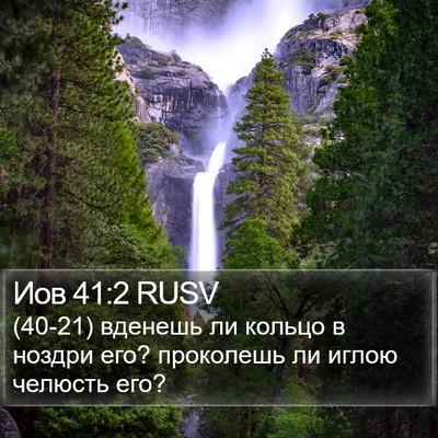 Иов 41:2 RUSV Bible Verse Image