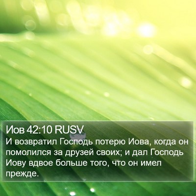 Иов 42:10 RUSV Bible Verse Image