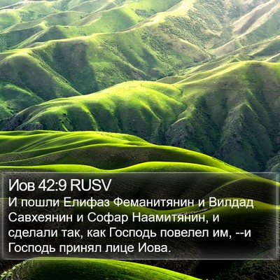 Иов 42:9 RUSV Bible Verse Image