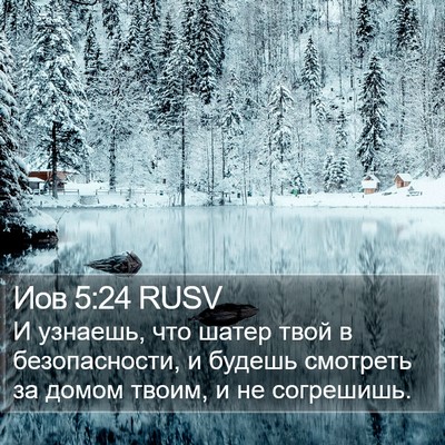 Иов 5:24 RUSV Bible Verse Image