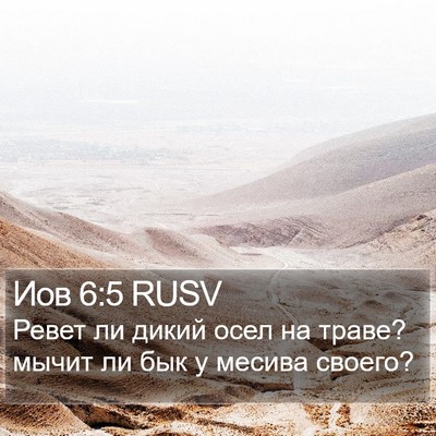 Иов 6:5 RUSV Bible Verse Image