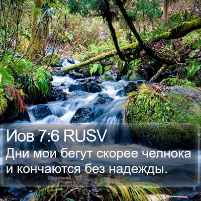 Иов 7:6 RUSV Bible Verse Image