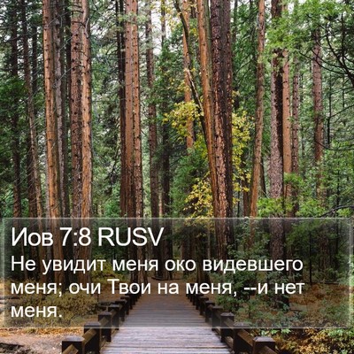 Иов 7:8 RUSV Bible Verse Image