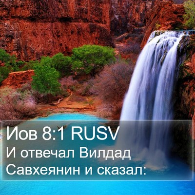 Иов 8:1 RUSV Bible Verse Image