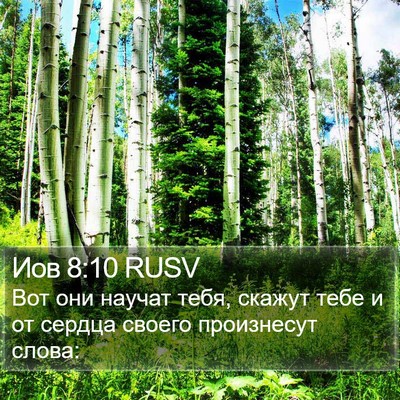 Иов 8:10 RUSV Bible Verse Image