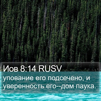 Иов 8:14 RUSV Bible Verse Image