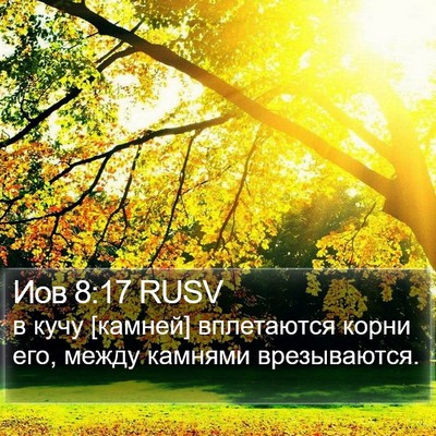 Иов 8:17 RUSV Bible Verse Image