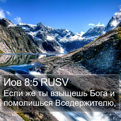 Иов 8:5 RUSV Bible Verse Image