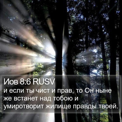 Иов 8:6 RUSV Bible Verse Image