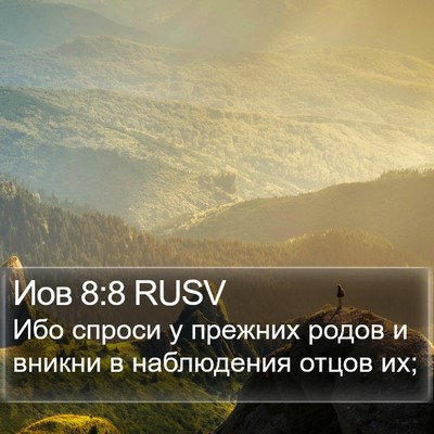 Иов 8:8 RUSV Bible Verse Image