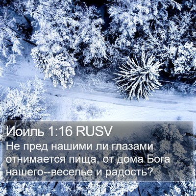Иоиль 1:16 RUSV Bible Verse Image