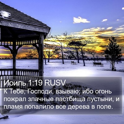 Иоиль 1:19 RUSV Bible Verse Image