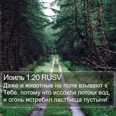 Иоиль 1:20 RUSV Bible Verse Image