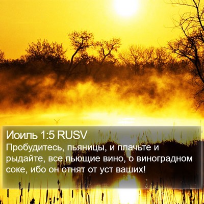Иоиль 1:5 RUSV Bible Verse Image