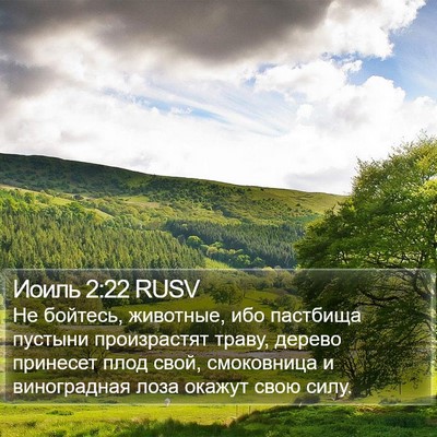 Иоиль 2:22 RUSV Bible Verse Image